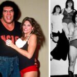 andre the giant