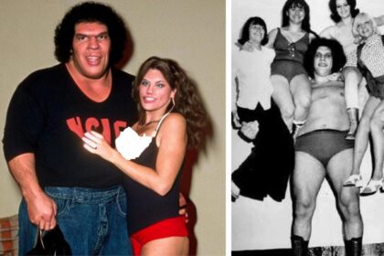 andre the giant