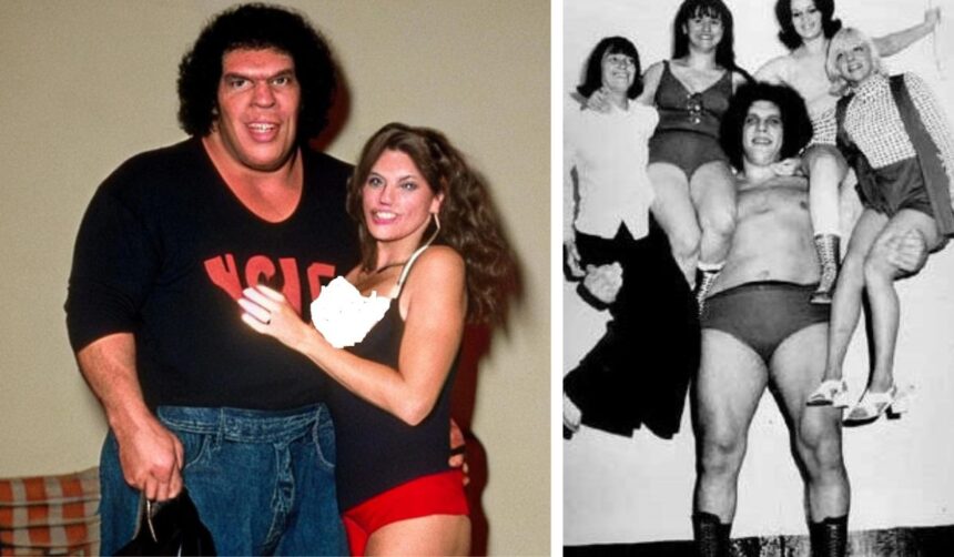 andre the giant